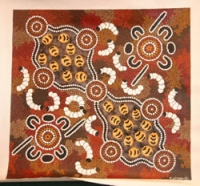 Honey Ants & Witchety Grubs - Click for more info